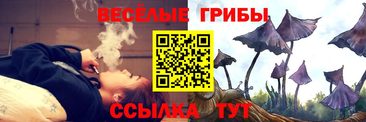 Псилоцибиновые грибы GOLDEN TEACHER Бугуруслан