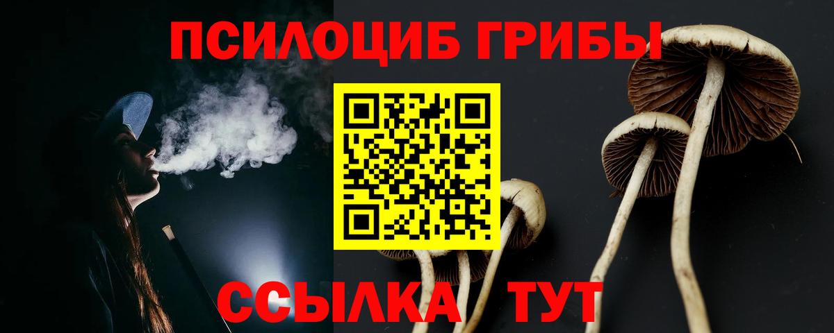Бугуруслан  Галлюциногенные грибы Psilocybine cubensis  Вход с VPN 